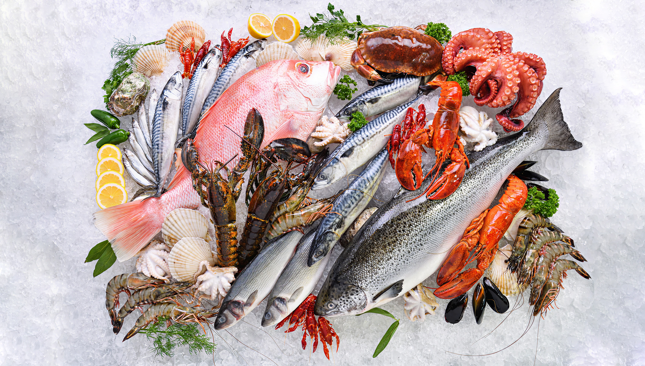 d5ad01c5a403b40e59b8f1c3024276f28d74ae23