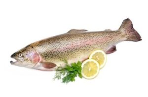 Whole Trout