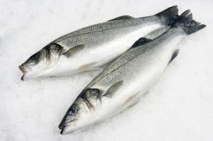 Farmed Whole Sea Bass (800g-1kg, 6kg per box)