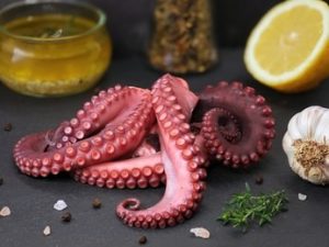 Octopus Tentacles