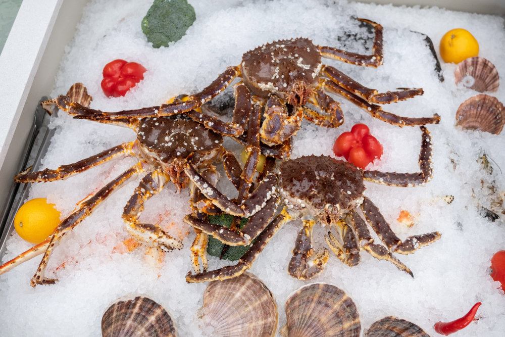 Crabs,And,Scallop,Lie,On,A,Window,Covered,With,Ice.