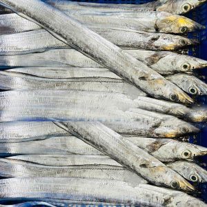 Cleaned & Cut Beltfish (500g-1kg)