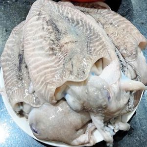 Fresh Small Cuttlefish (200-400g)