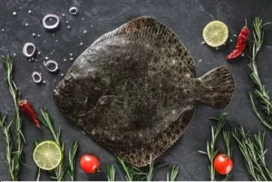 Wild Turbot