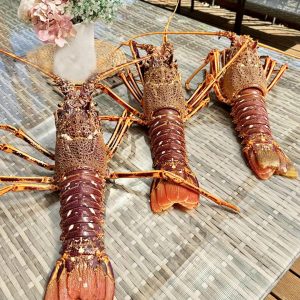 Live Spiny Lobster