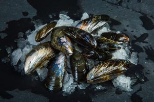 Mussels