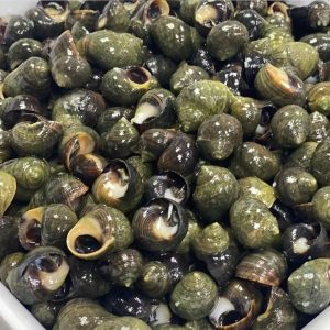 Live Winkles