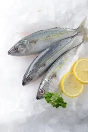 Cleaned Indian Mackerel (200g+)