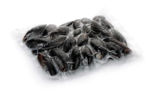 Frozen Mussels Whole Cooked IQF (1kg)