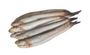 Frozen Spiny Goby (500g)