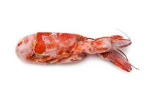 Frozen Canadian Lobsters