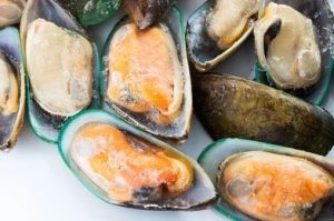 Frozen Half Shelf Mussels (1kg)