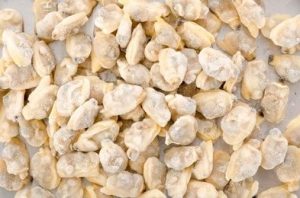 Frozen Clam Meat Yellow Cooked (454g)